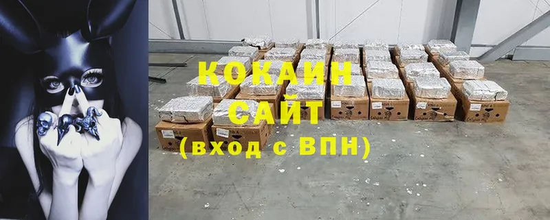 продажа наркотиков  Гай  Cocaine Fish Scale 