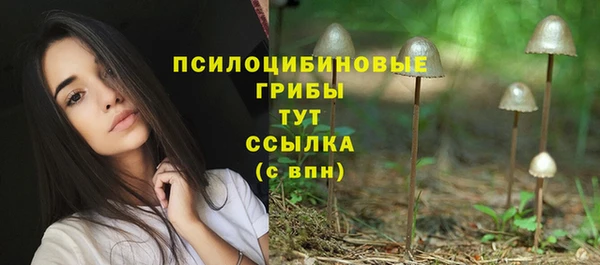 трава Богородицк
