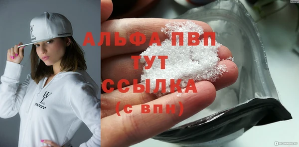 сатива Богданович