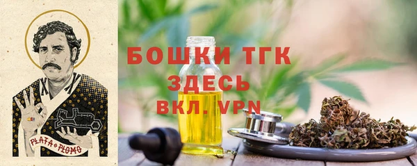 сатива Богданович