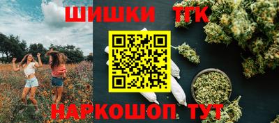индика Будённовск