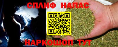 индика Будённовск