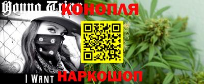 индика Будённовск