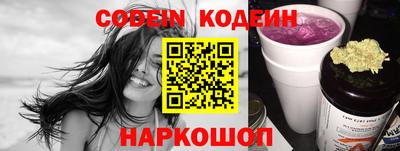 индика Будённовск