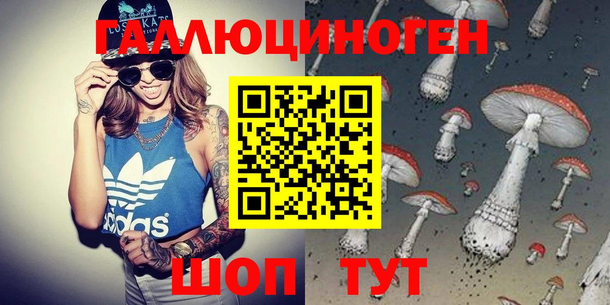 Псилоцибиновые грибы Cubensis  как найти   Псилоцибиновые грибы ЛСД  Гай 