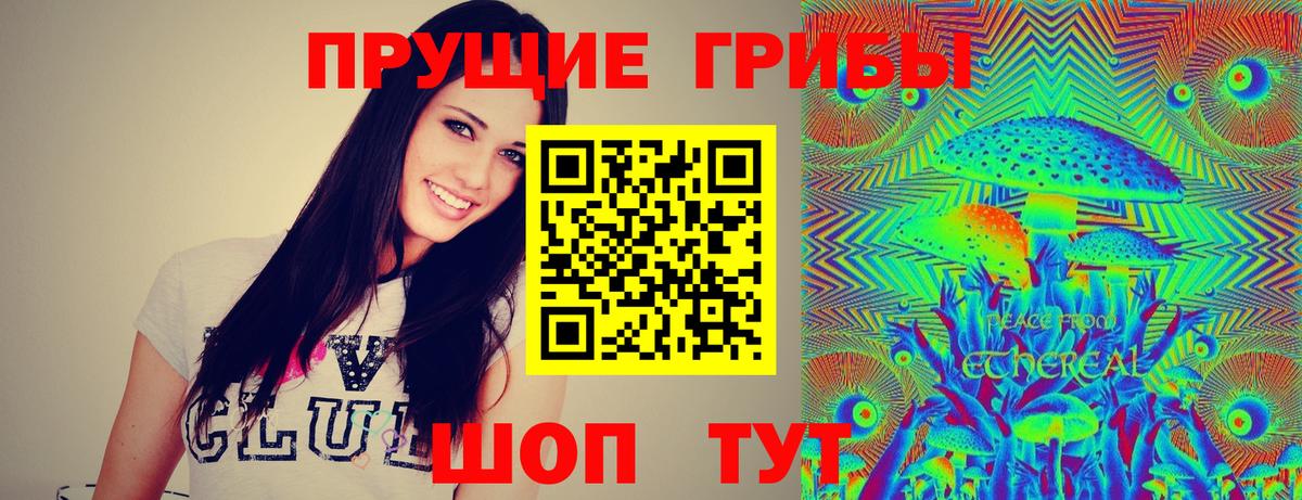 Псилоцибиновые грибы ЛСД Гай