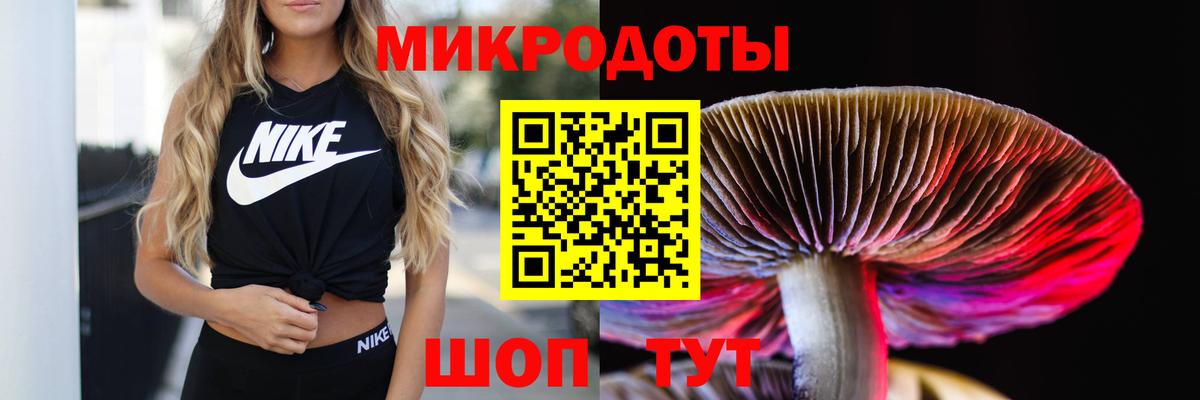 Псилоцибиновые грибы Magic Shrooms  Вход с VPN  Гай 